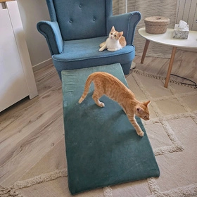 KiddyMoon Piankowy plac zabaw VELVET PPZV-213 Zabawka plac zabaw, zieleń lasu