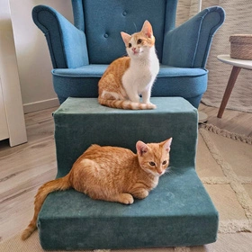 KiddyMoon Piankowy plac zabaw VELVET PPZV-211 Zabawka plac zabaw, zieleń lasu